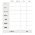 Fitness Planner 3